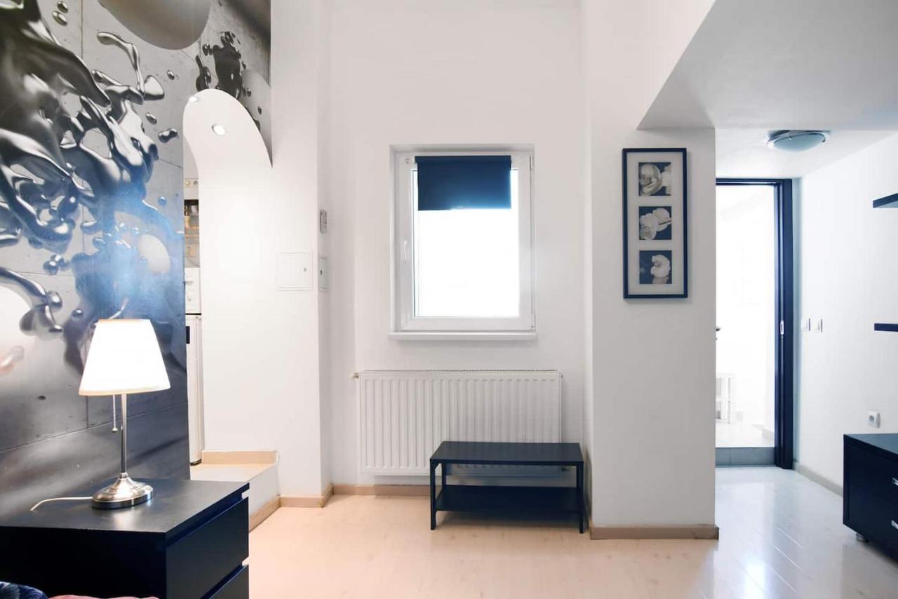 Apartment Bucharest Studio Bucharest